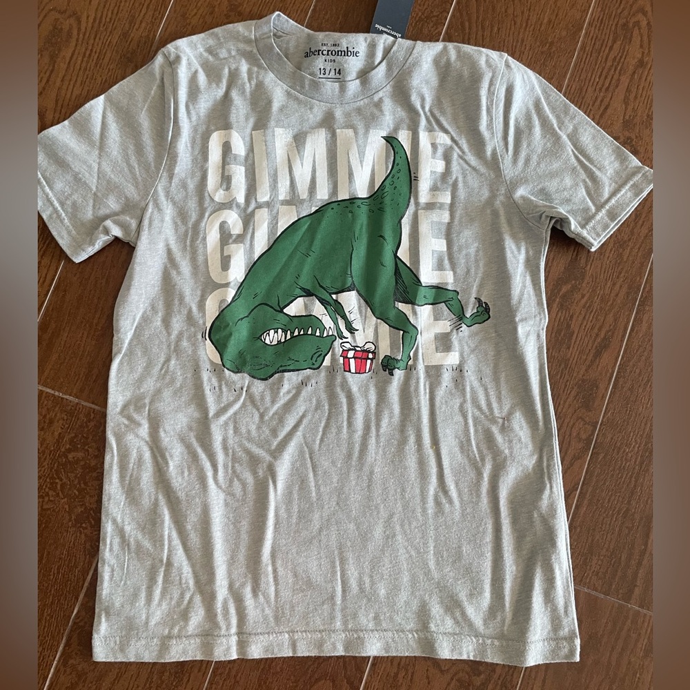 Abercrombie & Fitch kids Gaming dinosaur Graphic T-shirt 13/14